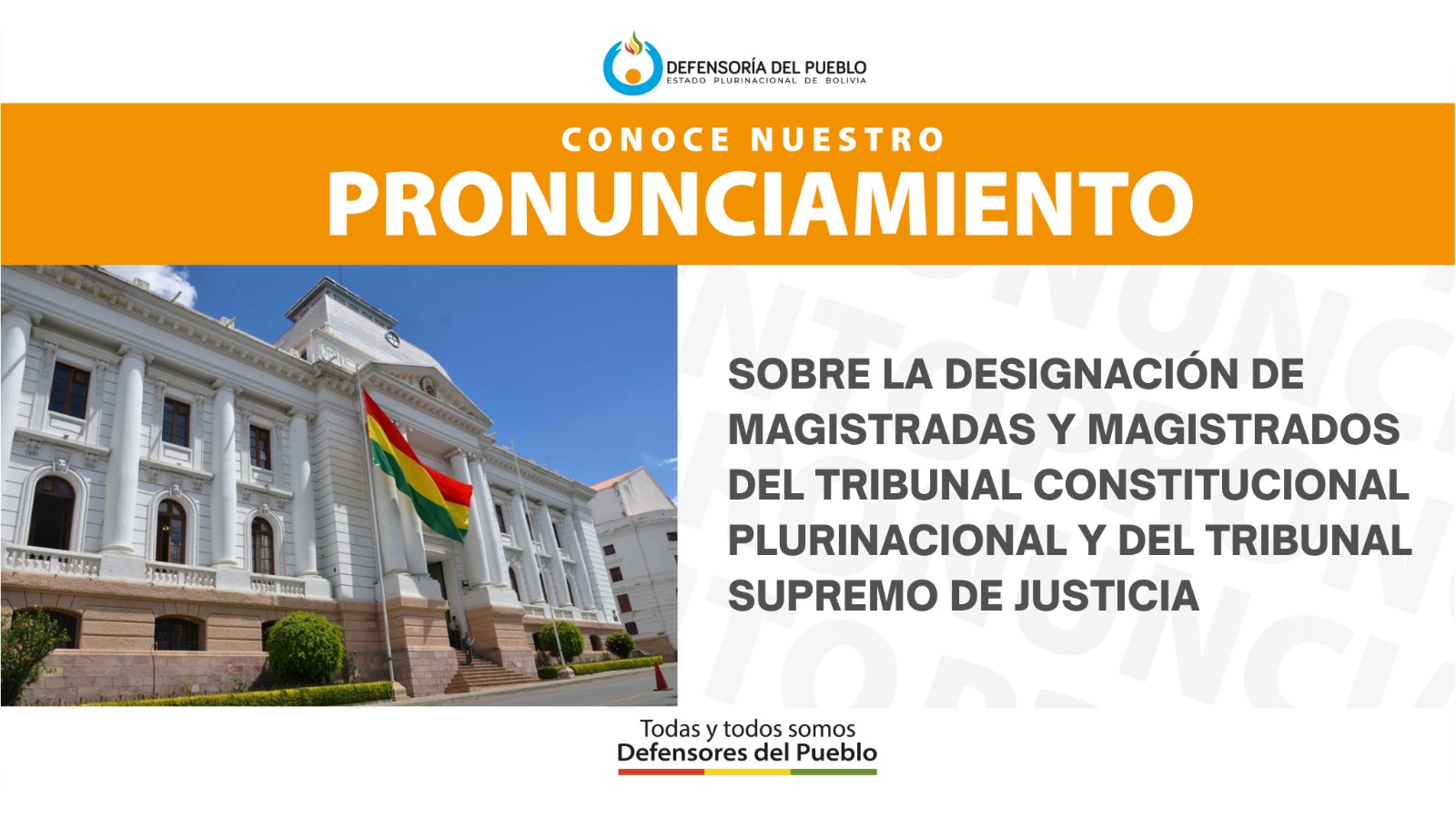 SOBRE LA DESIGNACIÓN DE MAGISTRADAS Y MAGISTRADOS DEL TRIBUNAL CONSTITUCIONAL PLURINACIONAL Y DEL TRIBUNAL SUPREMO DE JUSTICIA