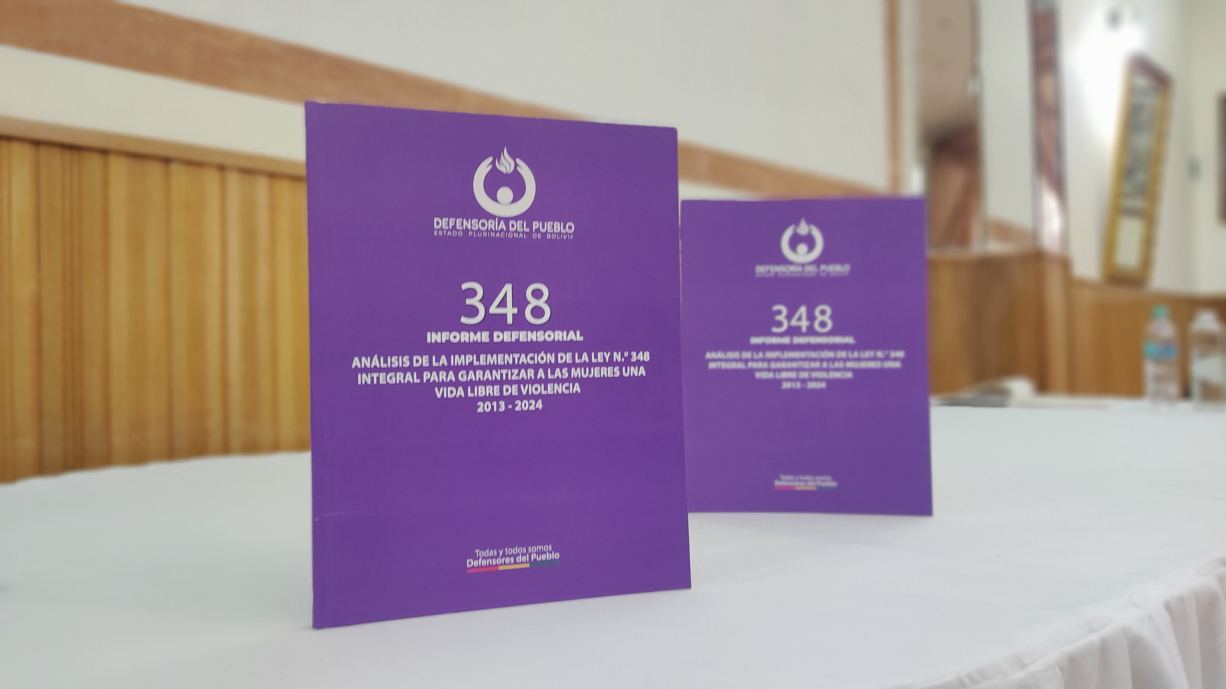 DEFENSORÍA DEL PUEBLO SOCIALIZA INFORME SOBRE LA IMPLEMENTACIÓN DE LA LEY N° 348 EN POTOSÍ