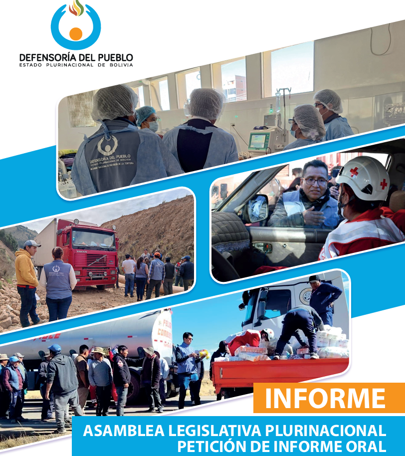 Informe Asamblea legislativa plurinacional petición de informe oral