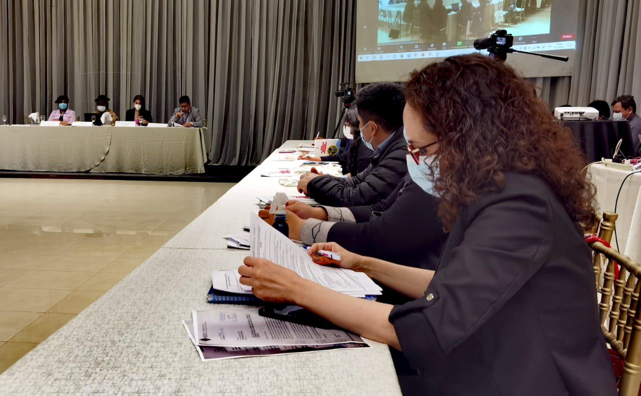 LA DEFENSORÍA DEL PUEBLO PARTICIPA CON PROPUESTAS TÉCNICAS EN EL CONSEJO DE COORDINACIÓN SECTORIAL E INTERSECTORIAL PARA TEMAS DE LA NIÑA, NIÑO Y ADOLESCENTE