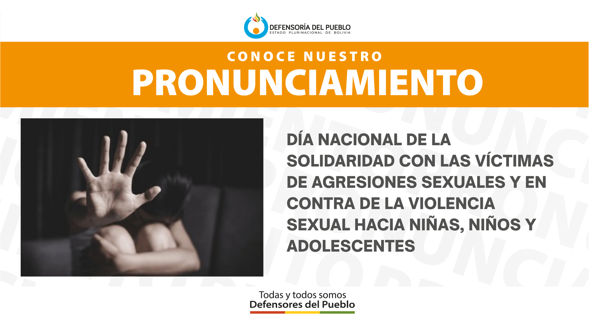 PRONUNCIAMIENTO   DÍA NACIONAL DE LA SOLIDARIDAD CON LAS VÍCTIMAS DE AGRESIONES SEXUALES Y EN CONTRA DE LA VIOLENCIA SEXUAL HACIA NIÑAS, NIÑOS Y ADOLESCENTES