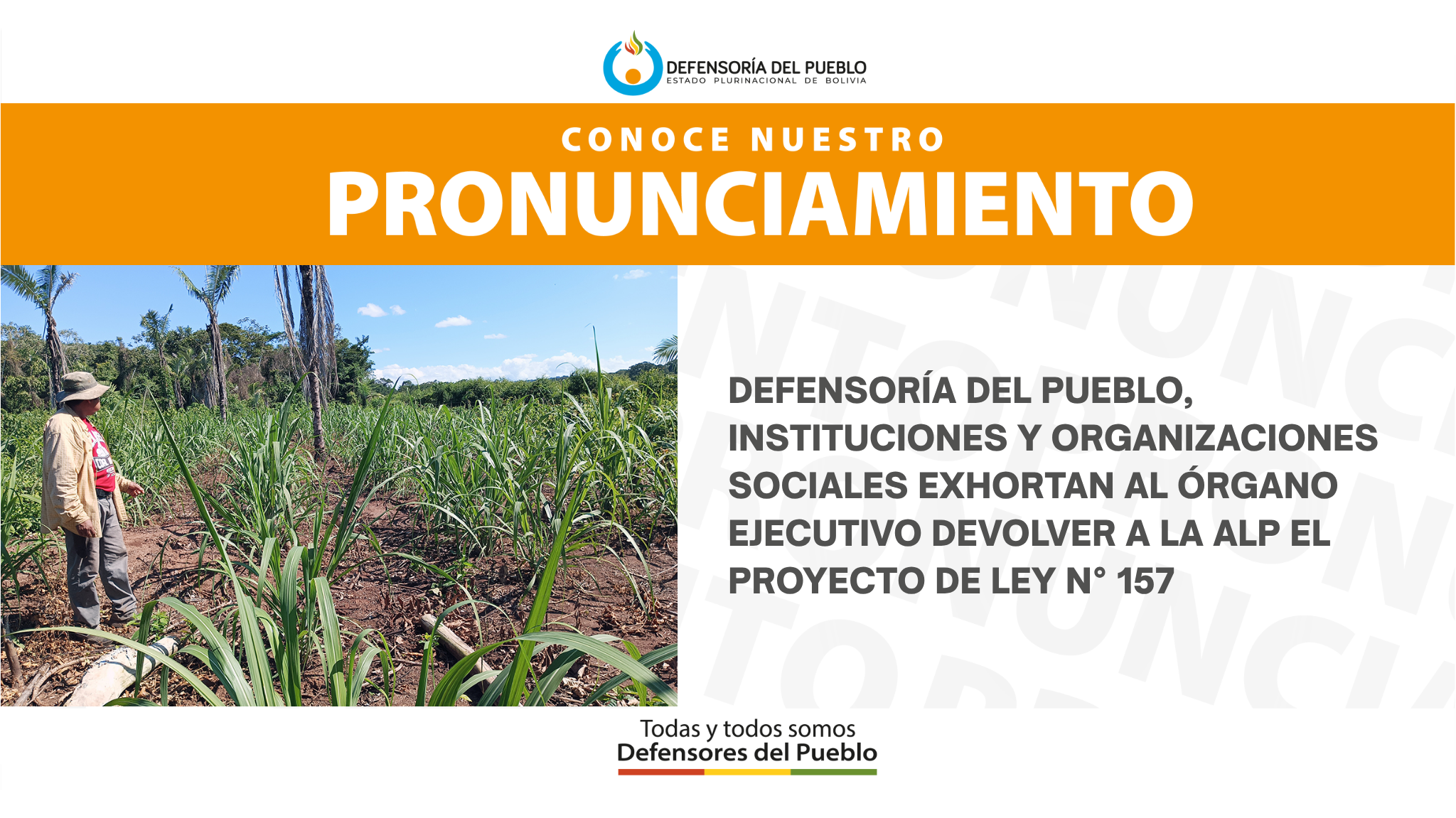 Defensoría del Pueblo, instituciones y organizaciones sociales exhortan al Órgano Ejecutivo devolver a la ALP el Proyecto de Ley N° 157