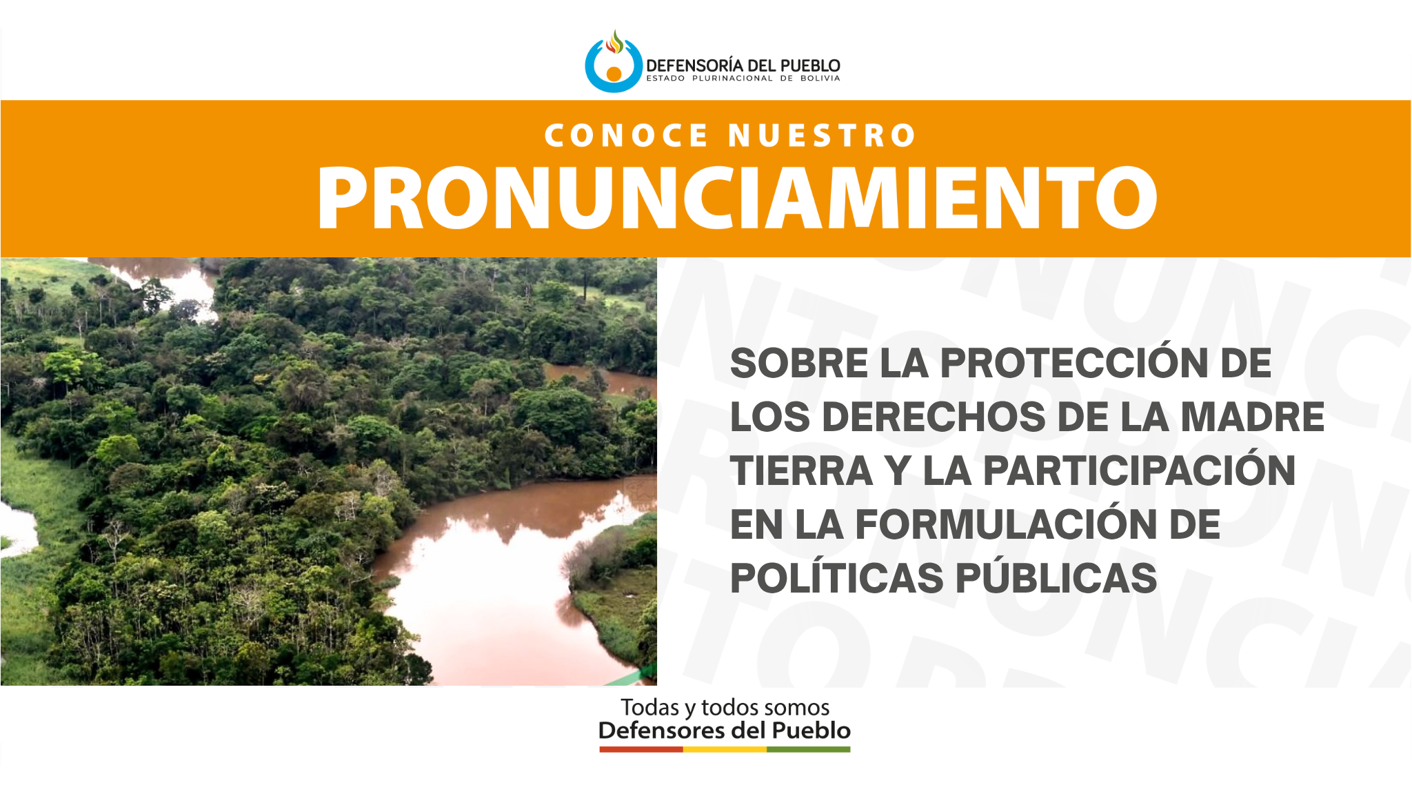 SOBRE LA PROTECCIÓN DE LOS DERECHOS DE LA MADRE TIERRA Y LA PARTICIPACIÓN EN LA FORMULACIÓN DE POLÍTICAS PÚBLICAS (PRONUNCIAMIENTO)