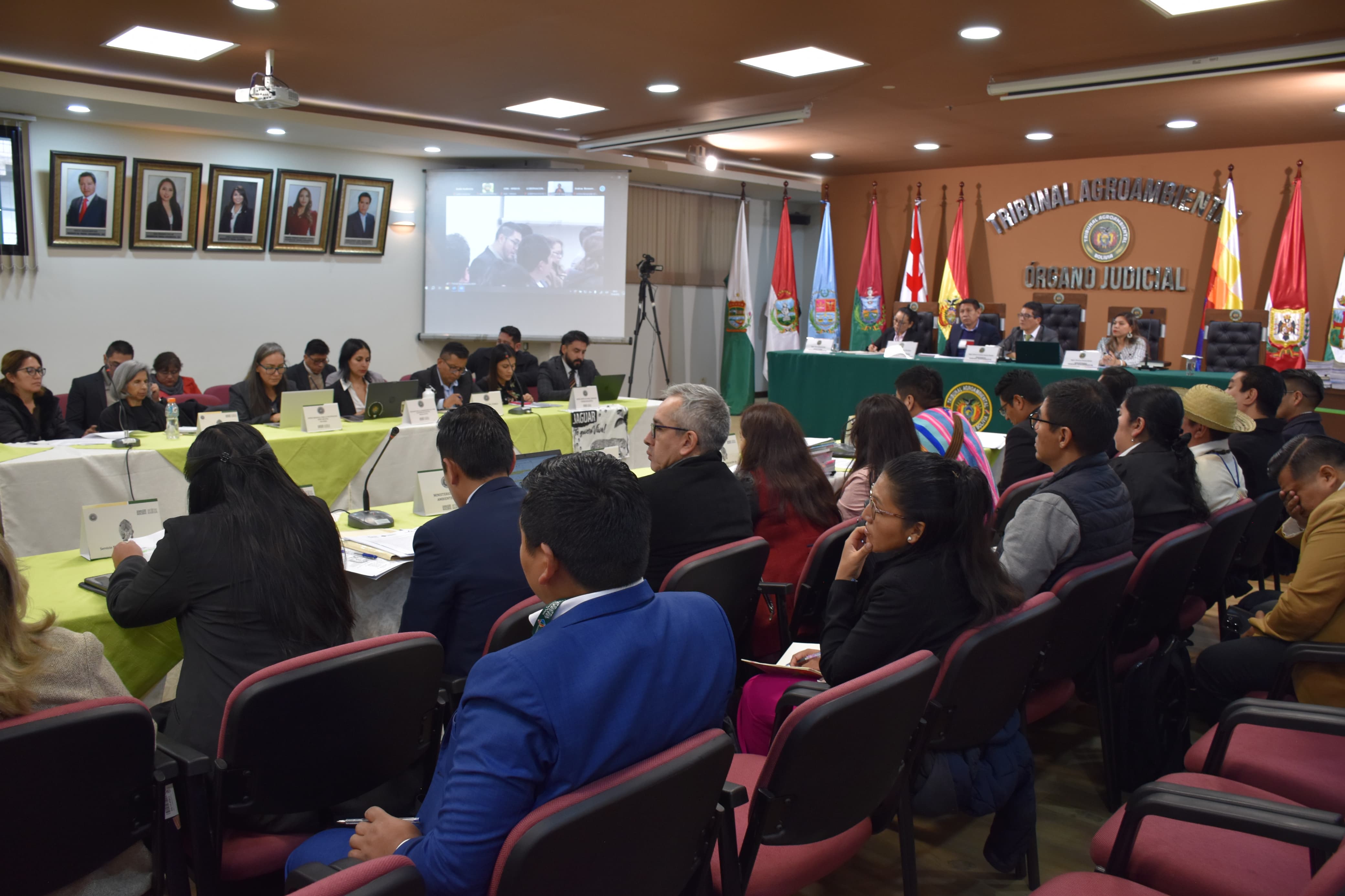 TRIBUNAL AGROAMBIENTAL CONCEDE HISTÓRICA TUTELA EN LA DEMANDA DE PROTECCIÓN DEL JAGUAR Y DISPONE CREAR PLANES Y PAUSAS ECOLÓGICAS