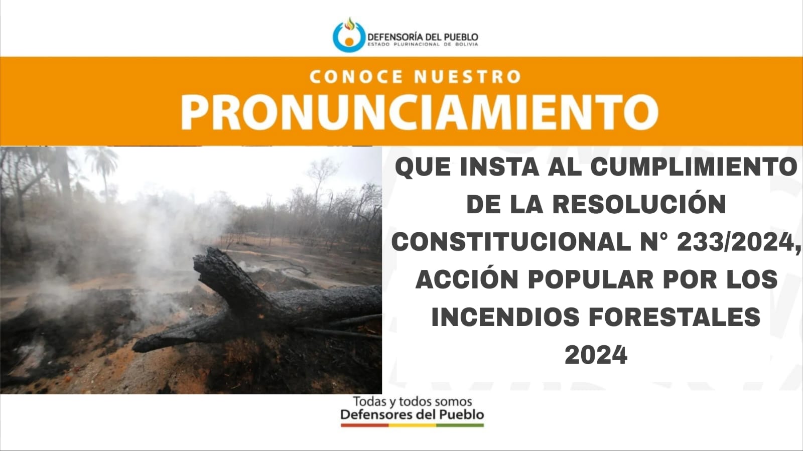 DEFENSORÍA DEL PUEBLO INSTA EL CUMPLIMIENTO DE LA RESOLUCIÓN CONSTITUCIONAL N° 233/2024, ACCIÓN POPULAR POR LOS INCENDIOS FORESTALES 2024, GARANTÍAS DE NO REPETICIÓN Y RESTAURACIÓN