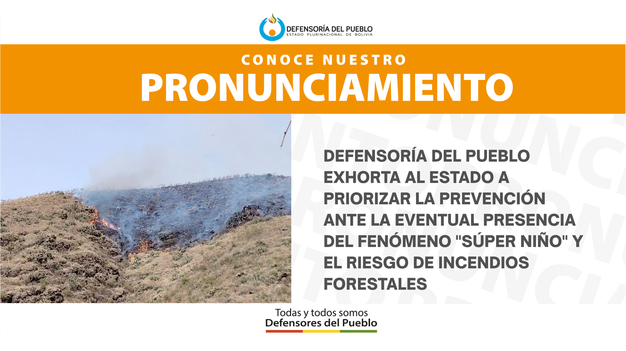 Defensoría del Pueblo exhorta al Estado a priorizar la prevención ante la eventual presencia del fenómeno "Súper Niño" y el riesgo de incendios forestales (PRONUNCIAMIENTO)