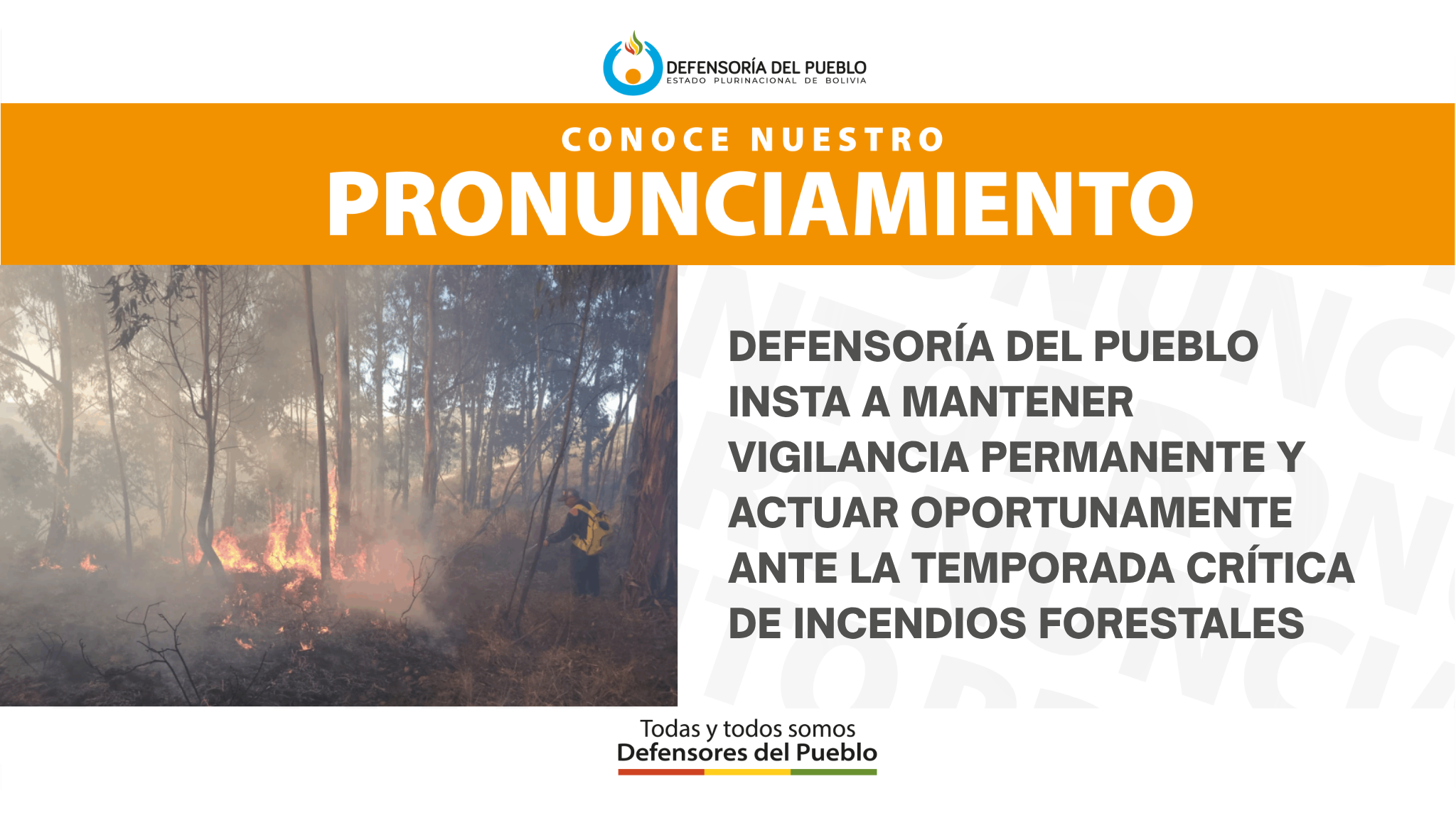 PRONUNCIAMIENTO Defensoría del Pueblo insta a mantener vigilancia permanente y actuar oportunamente ante la temporada crítica de incendios forestales