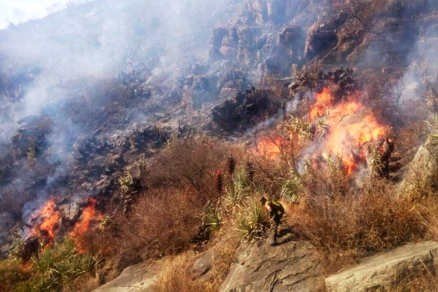 Defensoría del Pueblo y Pastoral Social Cáritas Boliviana, buscan ayuda humanitaria ante la declaratoria de desastre departamental