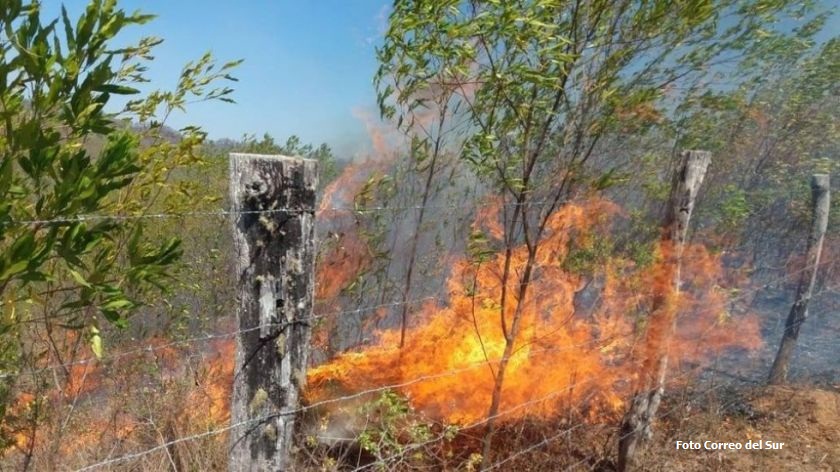 Defensoría del Pueblo pide a la Gobernación la intervenga de forma inmediata en incendios del Chaco Chuquisaqueño